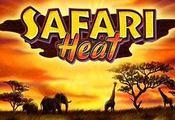 Safari Heat